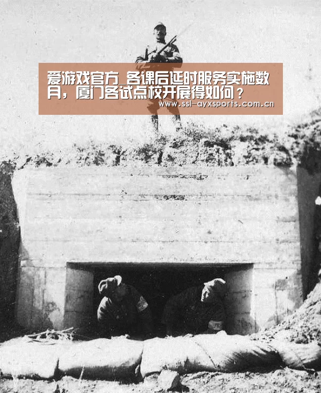 ayx下载