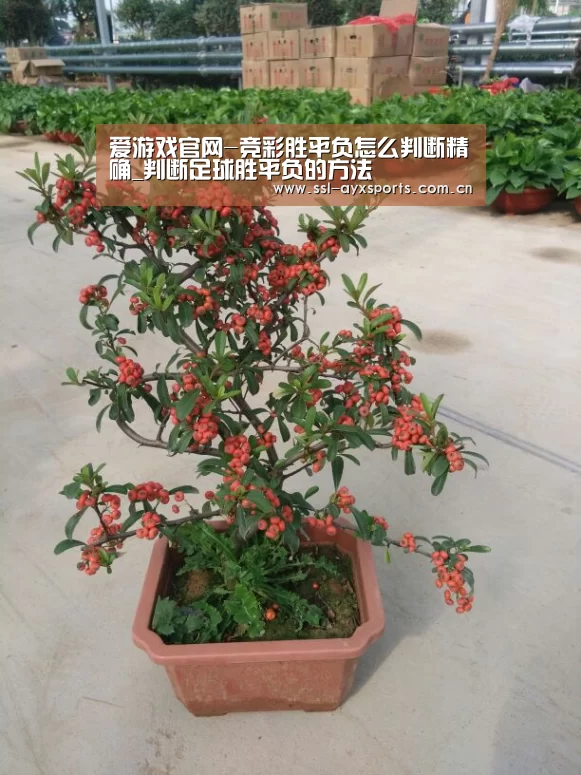 爱游戏官网-竞彩胜平负怎么判断精确_判断足球胜平负的方法(图2) 爱游戏官方