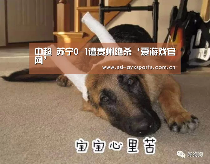 中超 苏宁0-1遭贵州绝杀‘爱游戏官网’(图3) 爱游戏app