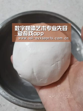 ayx下载