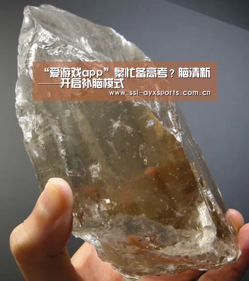 “爱游戏app”繁忙备高考?脑清新——开启补脑模式(图2) 爱游戏官方