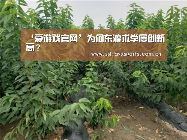 ‘爱游戏官网’为何东渡求学屡创新高?(图4) 爱游戏官网