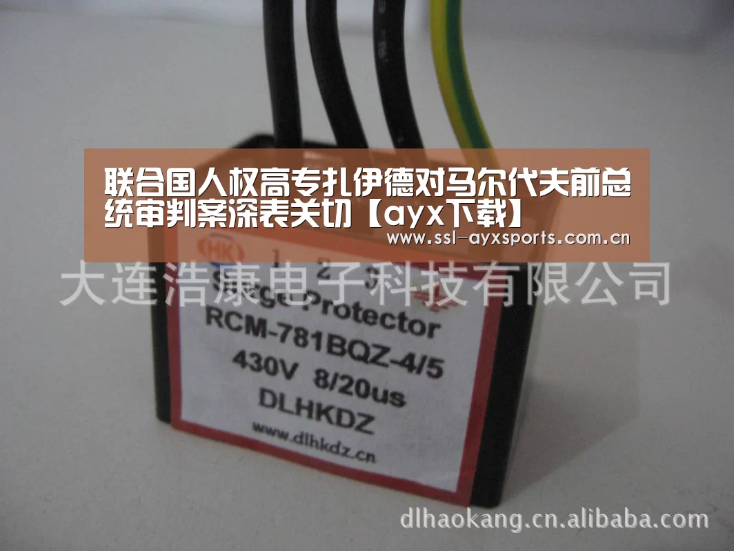 联合国人权高专扎伊德对马尔代夫前总统审判案深表关切【ayx下载】(图3) 爱游戏app
