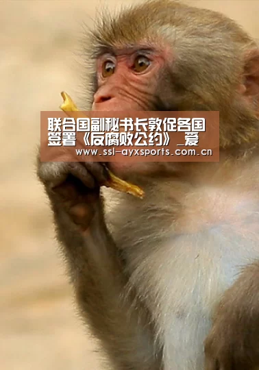 联合国副秘书长敦促各国签署《反腐败公约》_爱游戏官方(图2) ayx下载